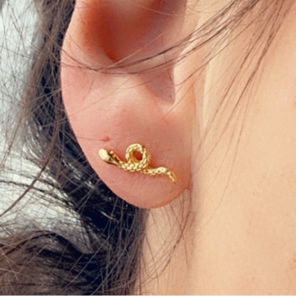 14k Gold Vermeil Snake Stud Earrings - Picture 16 of 16